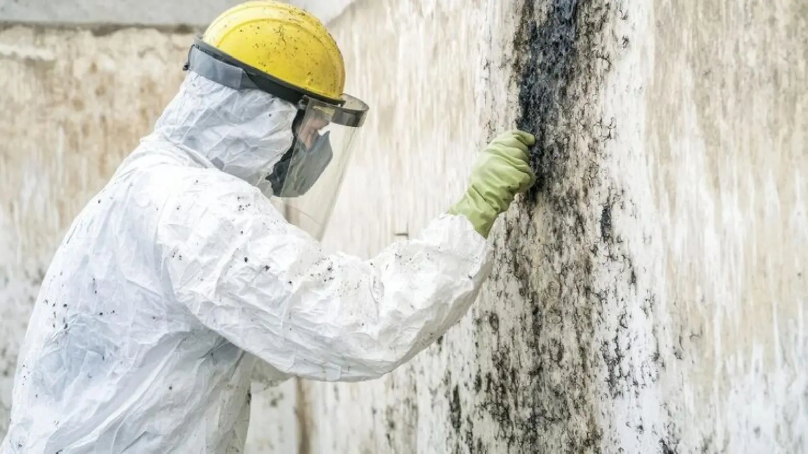 Worker in a protective suit, face shield and respirator working on a black-mold-covered wall